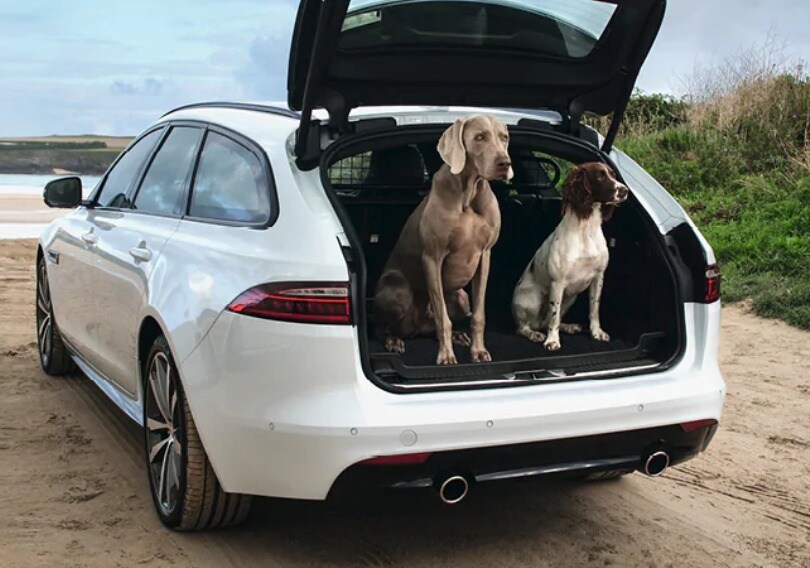 АКСЕССУАРЫ ДЛЯ ПЕРЕВОЗКИ ЖИВОТНЫХ